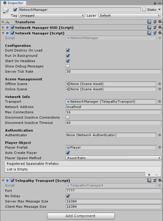 The Network Manager as seen in the inspector window